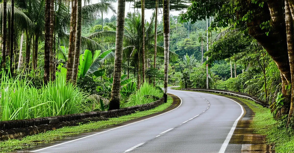 Kerobokan Scenic Routes 2025: Explore Beyond Bali
