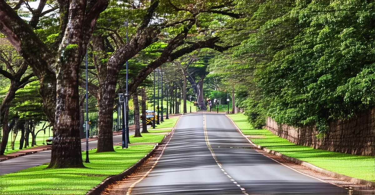 Porto Alegre Scenic Routes 2025: Explore on Foot & Bike