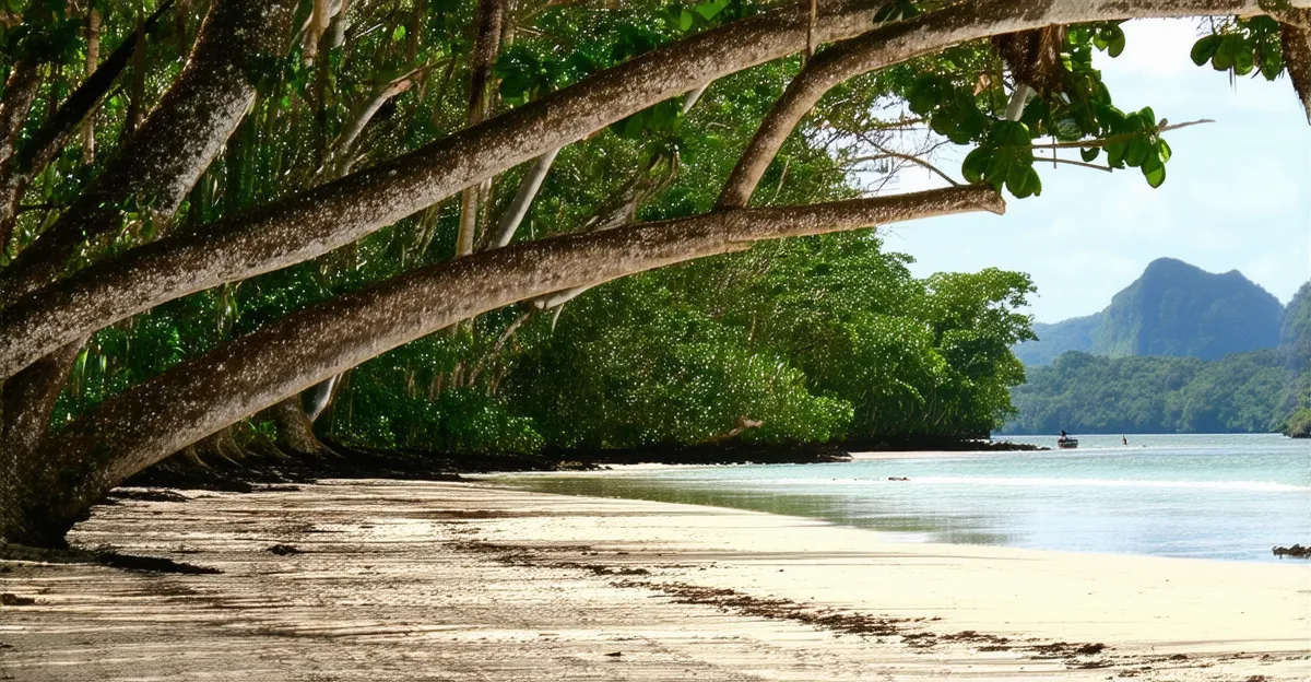 Puerto Princesa Walking Tours 2025: Hidden Gems Await